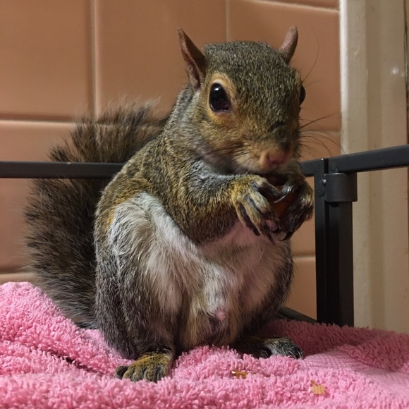 Meet your Posher, Chels - Picture 11 of 12